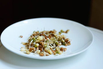 germinated seeds