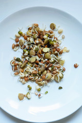 seeds on white background