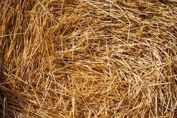 A stack of hay summer gold