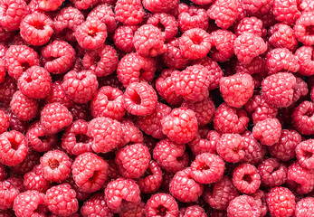 Fresh ripe raspberry food background. Copy space, flat lay