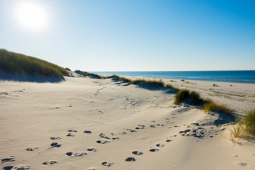 Czołpino wydma wydmy morze bałtyckie bałtyk piasek plaża - obrazy, fototapety, plakaty