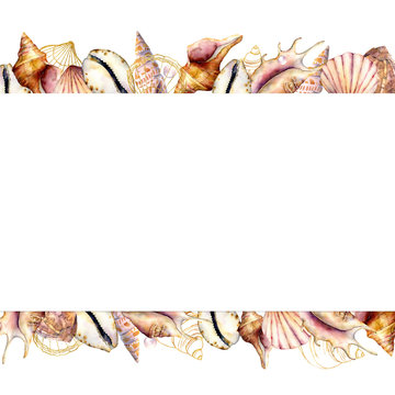 Watercolor banner with shells. Hand painted golden sea shells border isolated on white background. Nautical template. Illustration for design, print or background.