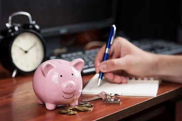 Piggy Bank, Concept of saving	