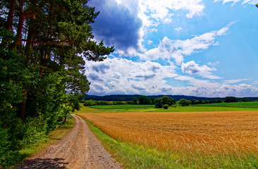 Fototapeta na wymiar beautiful sky with clouds over the field near the forest
