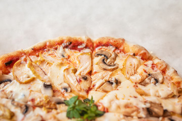 Pizza with chicken and mushrooms close-up on a light background at the bottom of the frame