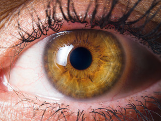 Human eye detail