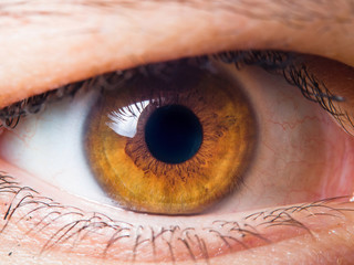 Human eye detail