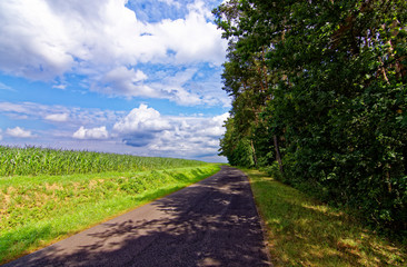 Obraz premium beautiful sky with clouds over the field near the forest