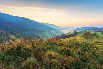 countryside in mountains at dawn. grassy rural slopes with fields and trees in autumn. ridge rolling in to horizon. village down in the valley full of fog. high clouds glowing in reddish light