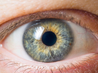 Human eye detail