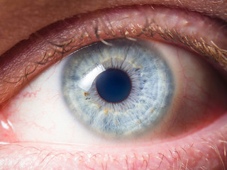 Human eye detail