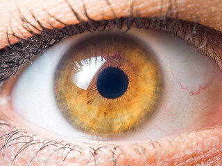Human eye detail