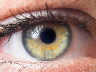 Human eye detail