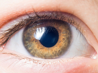 Human eye detail