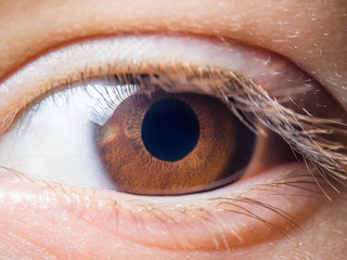 Human eye detail