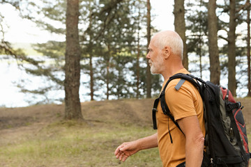 Side view of self determined active bald male pensioner carrying backpack while hiking alone in pine wood. Bearded Caucasian retired man with rucksack trekking along touristic route in forest