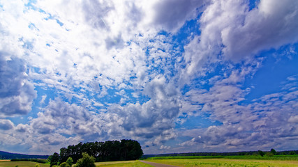 Fototapeta premium beautiful sky with clouds over the field near the forest