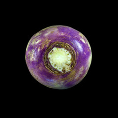 Turnip Purple Top Milan