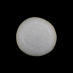 Turnip edible white flesh