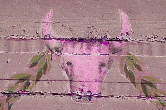 Stier
