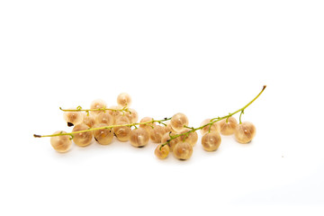 White currant on a white isolated background. Food concept. Eating fruit, providing vitamins to the body. Leading a healthy lifestyle, eating fruits.