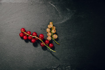 Fototapeta na wymiar White currant on a dark stone background. Food concept. Eating fruit, providing vitamins to the body. Leading a healthy lifestyle, eating fruits.