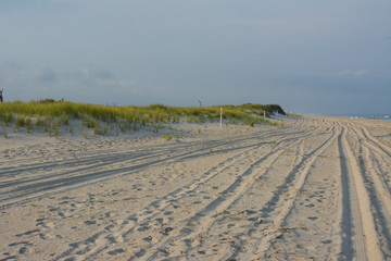 Fototapeta na wymiar Off road vehicle tracks in the sand at Assateague Island National Seashore beach