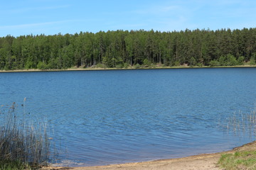 landscape with lake and forest