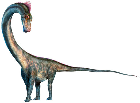 Barosaurus from the Jurassic era 3D illustration