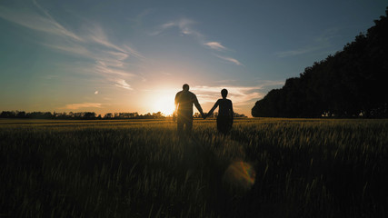 Family walks at sundown rear back view. People with dog nature view at sunset. Silhouettes man and woman walking on the field holding hands running little french bulldog. breathtaking scenery in