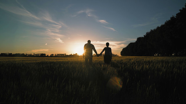 Family walks at sundown rear back view. People with dog nature view at sunset. Silhouettes man and woman walking on the field holding hands running little french bulldog. breathtaking scenery in