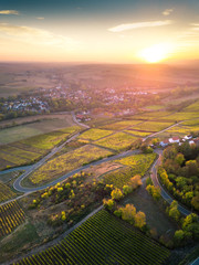 Palatinate Vineyards in Autumn at Sunset