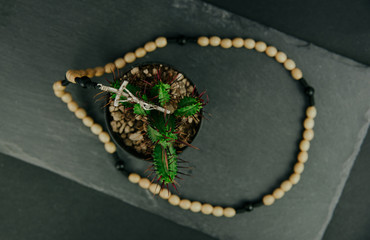 A rosary hung on a cactus. The concept of Christian faith, Catholicism. Pray for grace, faith in...