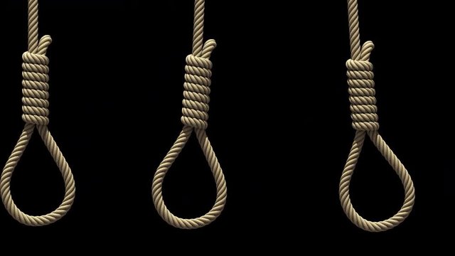Camera movement along Hangman's nooses, 3D animation. Ropes swinging from side to side like pendulums, seamless loop. Transparent background ProRes 4444 with alpha channel in 4k UHD resolution version