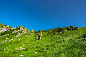 Rocky hills in the Carpathian mountains in summer