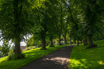 Fototapeta na wymiar Brandon Hill Park in Bristol