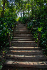 Escadaria - Trilha - Parque