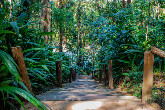 Escadas e natureza no Parque
