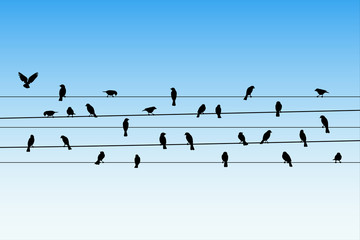 Birds on wires. Vector illustration with silhouette of flock of crows sitting on power lines. Blue pastel background