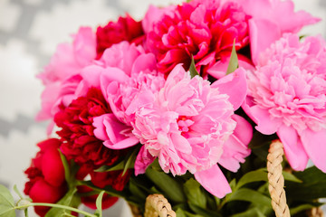 Peonies. A bouquet of peonies. Peonies on the tree