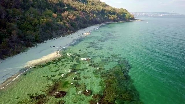 Aerial view of beach and green water