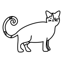 cute cat mascot adorable character