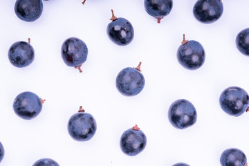 purple grapes with water drops on white background