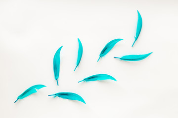 design for blog or desktop with colorful bird feathers on white background top view mockup