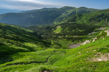 Path in the Carpathian mountains in summer