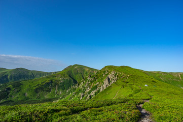 Path in the Carpathian mountains in summer