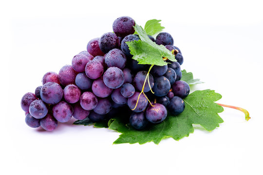 Purple Grapes Images Browse 1 878 490 Stock Photos Vectors and