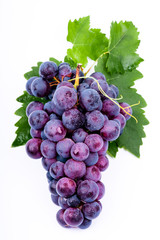 purple grapes with water drops on white background