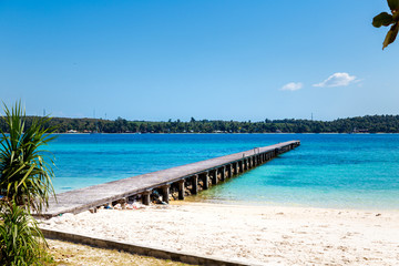 Obraz premium Plage naturelle de Thaïlande avec palmiers et cocotiers