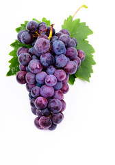 Fototapeta premium purple grapes with water drops on white background